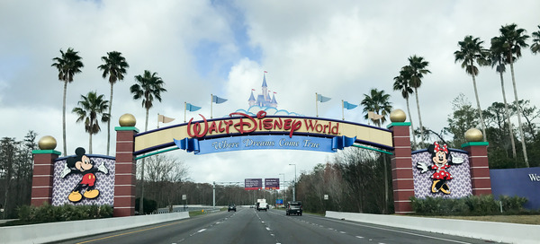 Enjoy Florida Travel Disney World Florida